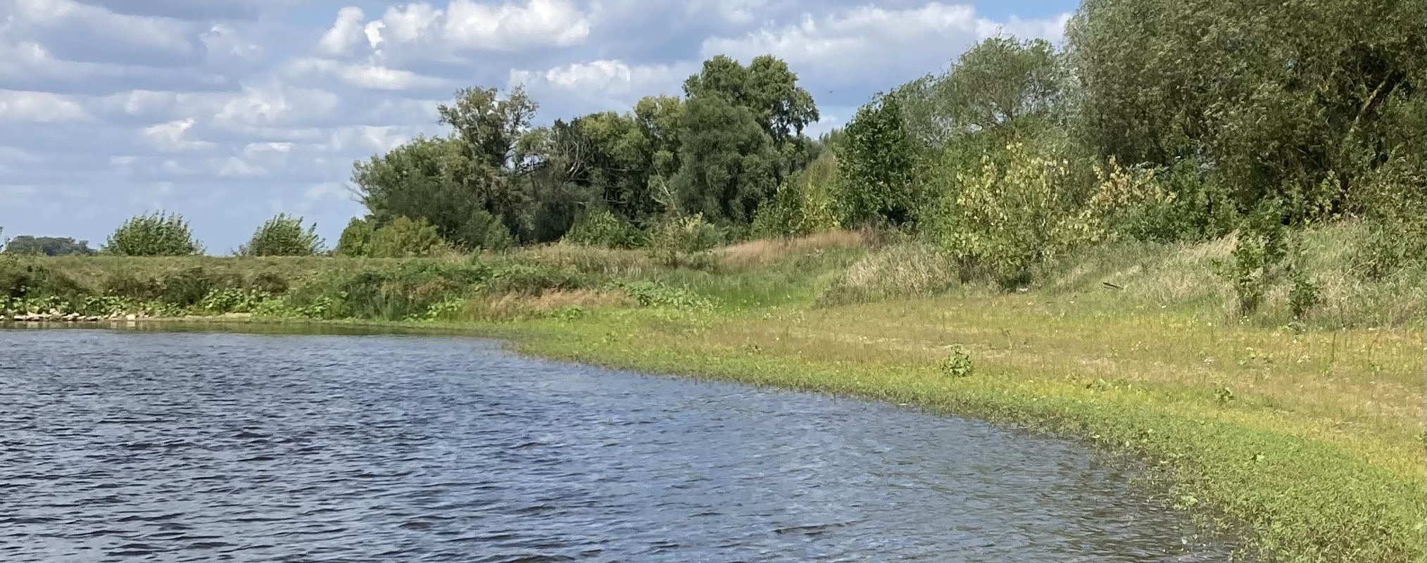 Uferbereich des Elbe-Havel-Kanals mit Bäumen.